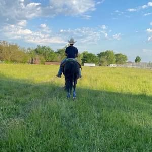 Meet your Posher, Jonathan